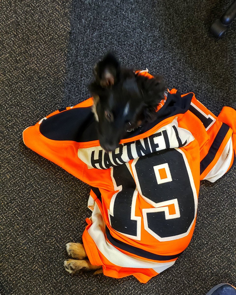 KellyDaBunny's tweet image. Chizzy is ready to watch mommy's favorite player ever be honored tonight. #ChizzytheAussie #HartnellDown

@Hartsy43 @NHLFlyers
