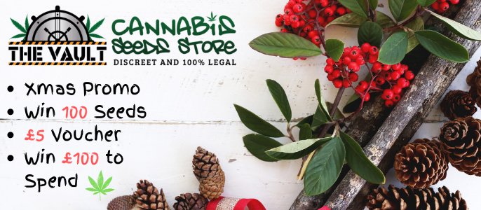 The_Vault_Seeds's tweet photo. *PROMO*
 Christmas is all about good deeds - so check this promo and WIN free seeds! 💚🎉🎄
 - £100 to Spend at The Vault up for grabs
 - Top Prize of 100 Seeds to be Won 
 - 11 other prizes of 5 seeds per Winner
 - Spend £25 to get £5 Voucher off at The Vault - live now 🌱 https://t.co/Vh8Qi0OIPa