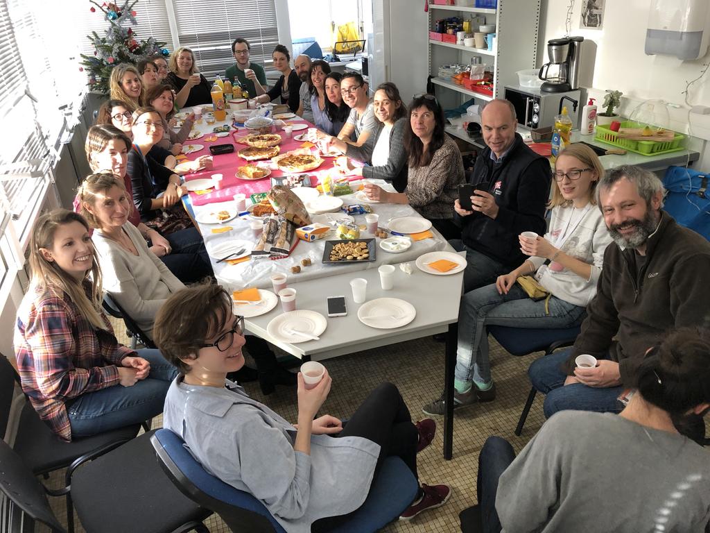 TENS_lab's tweet photo. Happy Christmas from INSERM  TENS!!! @InsermGrdOuest https://t.co/ToSul1kKl3