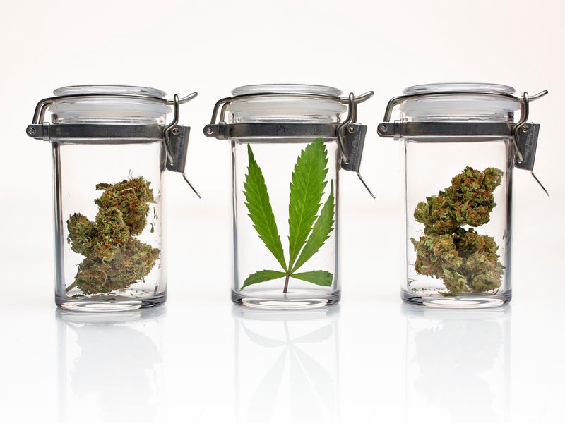 Joy105com's tweet photo. Marijuana Drinks...Could there really be a recreational drink with marijuana coming ??? ##Cannabis #Beer #joy105com #recreationaldrink #WeedBeer https://t.co/OoSQRFX4Ab https://t.co/XVe6lJtvuW