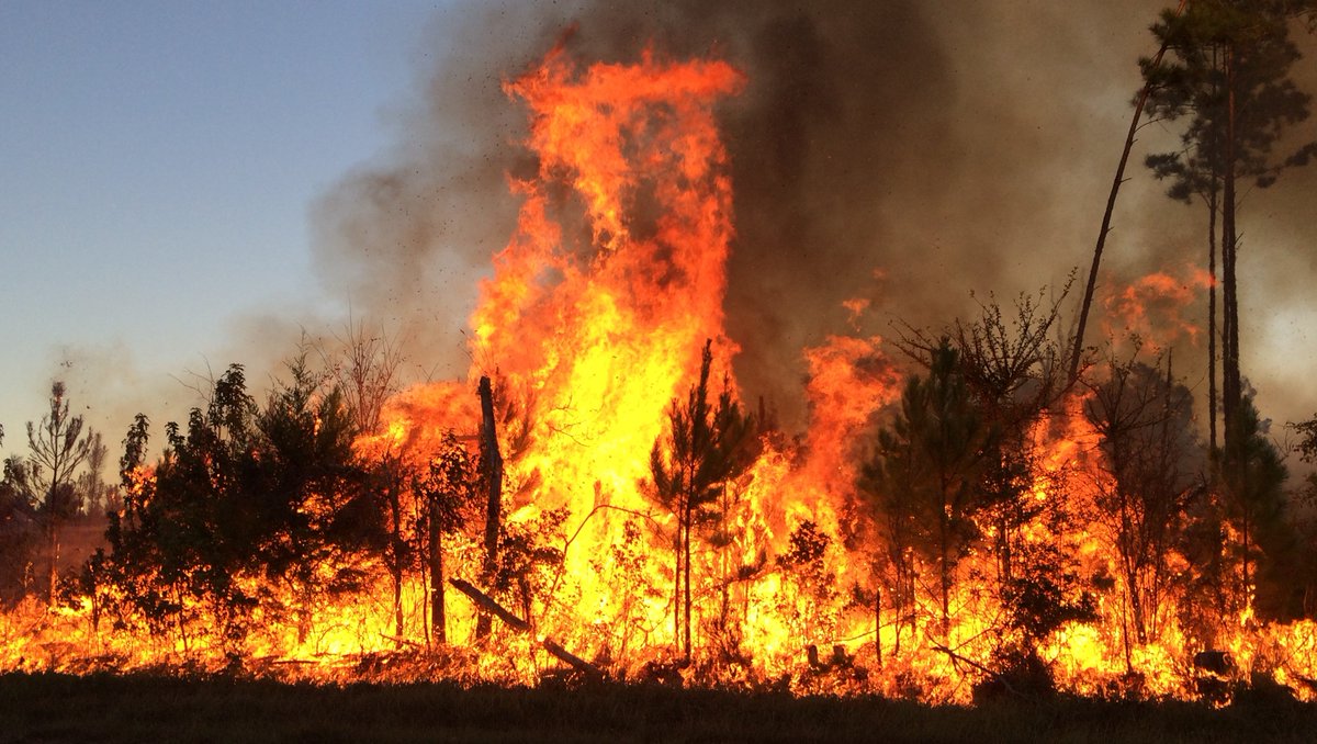 MSForestryComm's tweet image. MFC Fire Chief, Randy Giachelli, featured in this excellent article by Becky Gillette with the @mbjournal. Thank you for helping us raise awareness about wildfire prevention! View the full article, here: msbusiness.com/2018/12/wildfi…

#Forestry #MSFire #Mississippi #PeopleofForestry