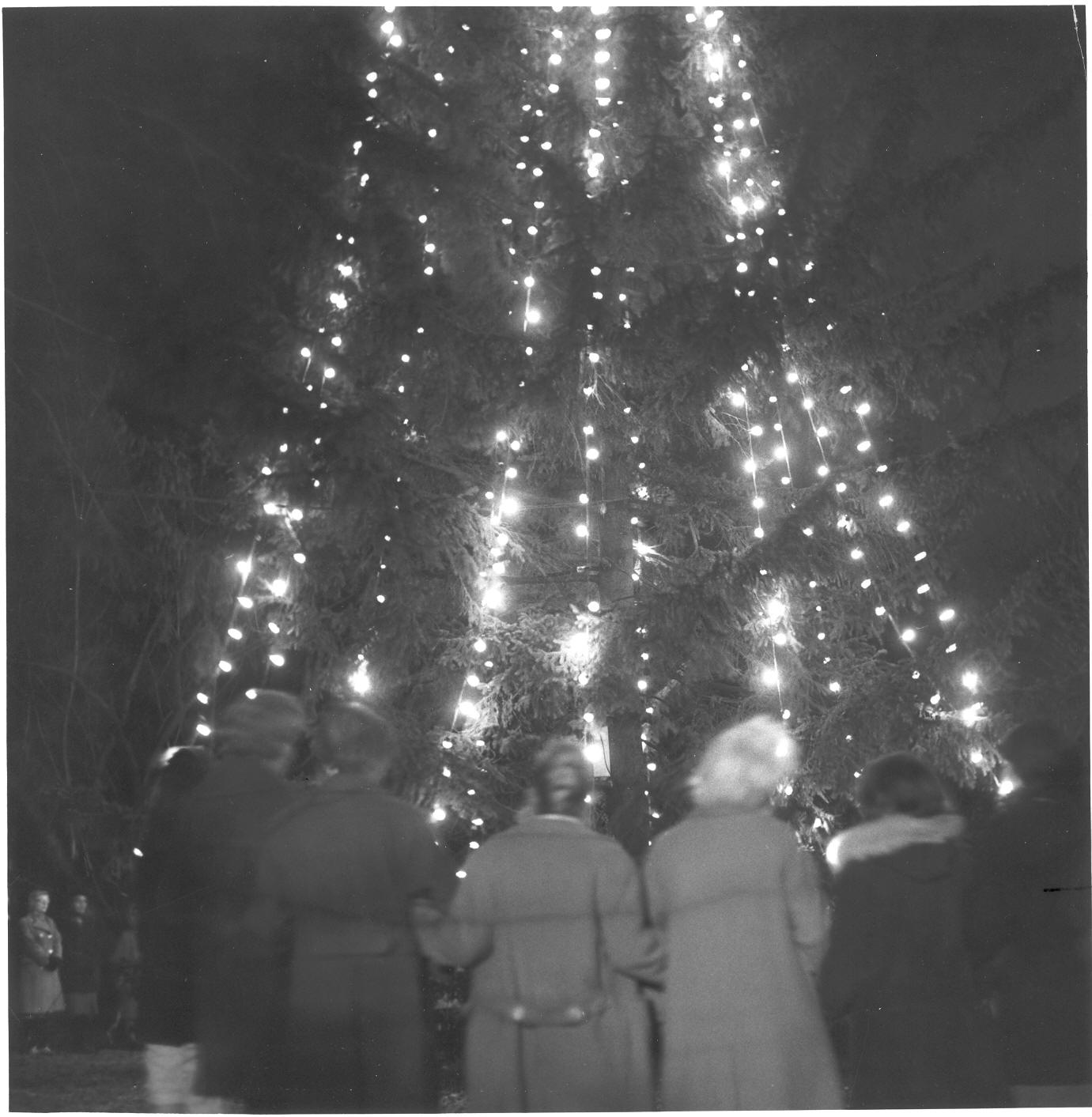 Cedar Crest College on Twitter "TBT to 1963 🎄 CedarCrestCollege…