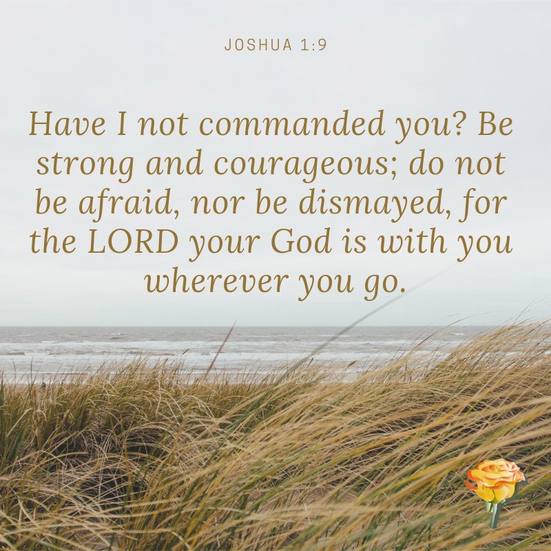3ABereavement's tweet photo. Although things seem chaotic at and all out of place, have faith that God will get you out of your situation. Nothing happens by accident! Though we can't see what He's doing now, it'll all make sense in the long run.
#christianity #jesus #donatehouston #houstoncharity #pray https://t.co/sHMaS3OLay