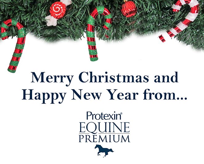 Thank you for all your support in 2018, we’ve had a fantastic year and hope you all have too! We will be closed from Friday 21st December and will be back from Wednesday 2nd January. All enquires we receive during this time will be processed as soon as possible upon our return!