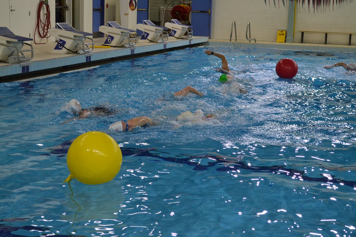 Guelph Tri Project tweet media