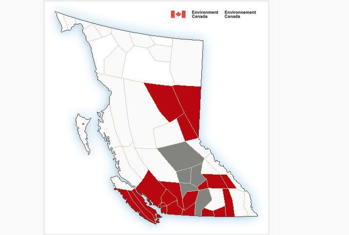 The Nelson Daily tweet media