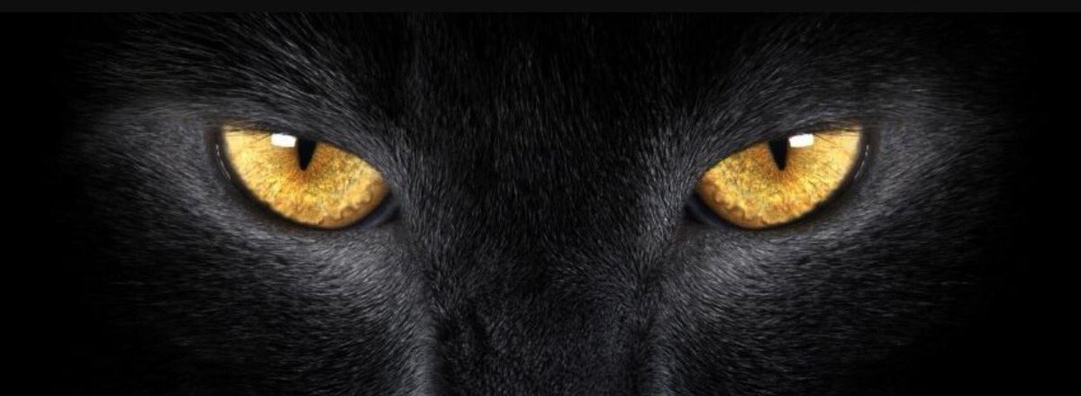 _CoachHoughton's tweet photo. IT’S GAMEDAY!!!!!!!
LETS GOOOOOOO!!!!!!!!!!!
#beatclawson
#conquerall
#silver https://t.co/MZFyMRMpZV