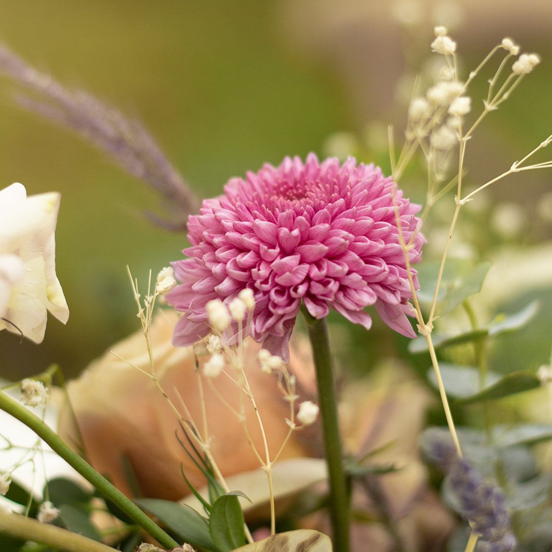FlowersofCol's tweet photo. When winter makes everything around turn white, flowers are a colorful treasure to bring home. Get inspired with tips on holiday florals. Link here: https://t.co/EhVPW0ElWV https://t.co/pcllzxRmfs