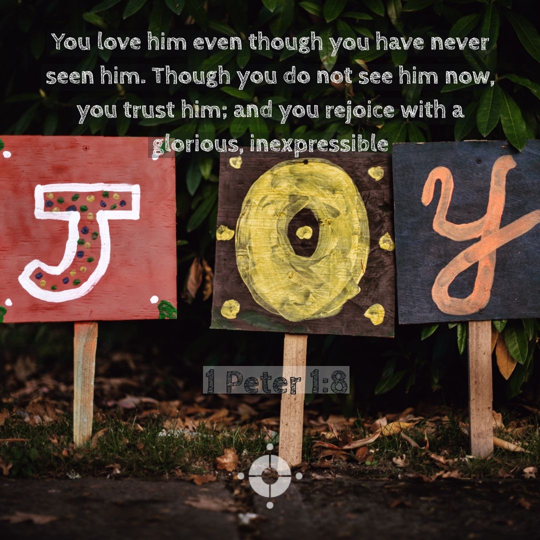 VineyardCanada's tweet image. #Advent2018 #Joy