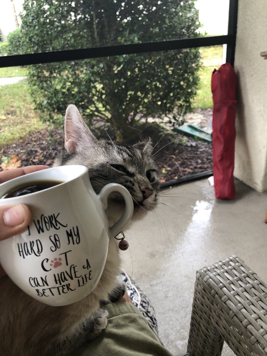 Father Okra (@eli_mcbride) on Twitter photo 