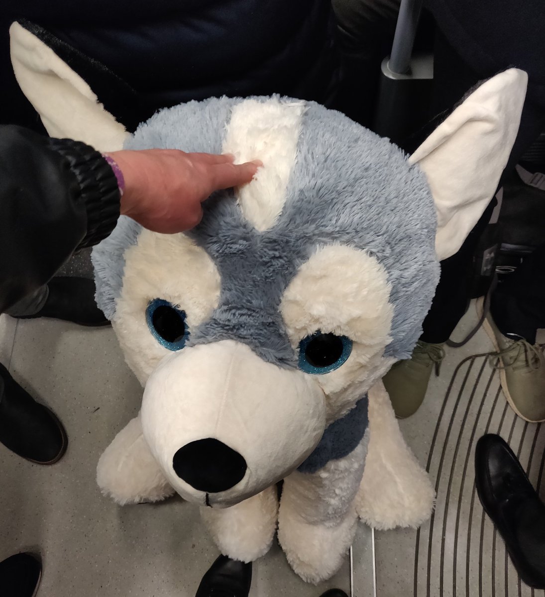 When a super rich tall date goes with you to winter wonderland and wins you this 😍 it was also our 4th date and we still haven't slept together..😳 Could this be the one?
