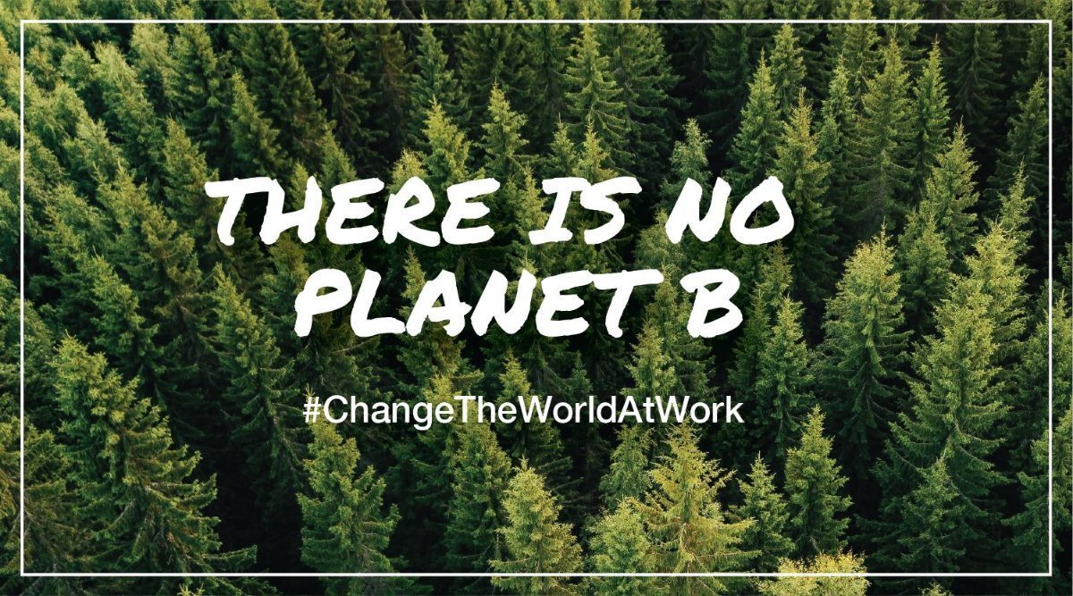 CharlieGrimm3's tweet photo. #Announcement #GoSpaces Mobile has partnered with @TreeCanada and has committed to planting 2500 trees in 2019! Check this out: https://t.co/rCzA7BvFKf 
---
#sustainability #treehugger #makingadifference #workplace #EmployeeEngagement #carbonoffset #MobileApp https://t.co/E6skdj6DS9