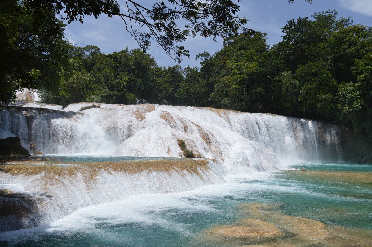 ParaQueViajes's tweet photo. ÚLTIMOS LUGARES CHIAPAS. 
Transporte Terrestre + Entradas + Hospedaje + Asistencia de Tour Leader por $6590 en habitación DBL, Cierra con broche de oro este 2018! - https://t.co/a1bp6ZnDpW https://t.co/WVgxAEmu0A