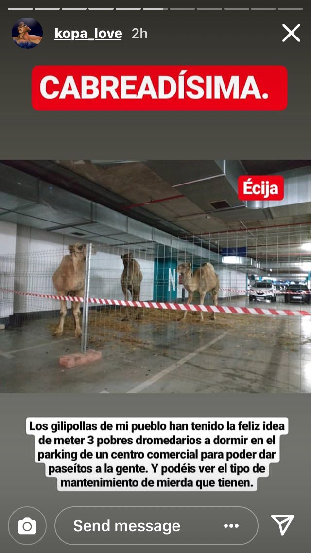 Sarapeicas's tweet photo. @EcijaN4 Podéis poner también estas imágenes 🙌🏻 https://t.co/ZIvOPpqMMN