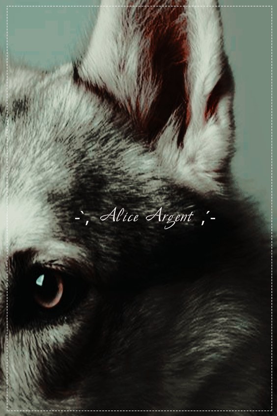 ⠀⠀⠀⠀-ˏ` ʏᴇᴋᴀᴛᴇʀɪɴᴀ ᴀɪʟᴇɴᴀ ᴀɴᴛᴏɴᴏᴠᴀ ˎˊ˗
           ⠀ ⠀⠀⠀  ᴀ̶ʟ̶ɪ̶ᴄ̶ᴇ̶ ᴀ̶ʀ̶ɢ̶ᴇ̶ɴ̶ᴛ̶

⠀❍ ϟ ᴄʟᴀɴ ᴀɴᴛᴏɴᴏᴠ :: 𝗐𝖾𝗋𝖾𝗐𝗈𝗅𝖿 ❛ᴏᴄ❜
⠀❍ ϟ ʀᴏʟ ᴍ ; ᴇxᴛ. › abierta a tramas › ᴍᴅ

⠀ ⠀⠀⠀ ⠀ ⠀⠀⠀ ❪ ♡ + ʀᴛ ❫