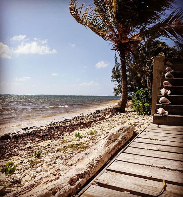 Yes it really does look like this 😍🌴 #Caymanislands #vitamindtherapy #wintersun #familytime❤️ ift.tt/2QGaBDr