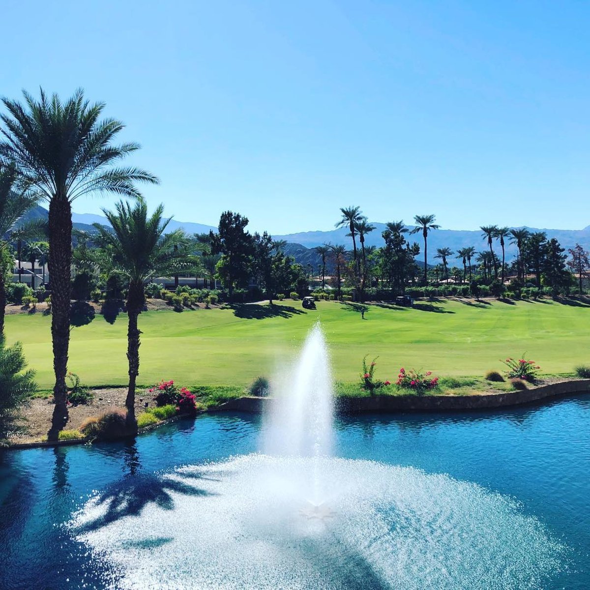 "Home for the holidays" has never looked sweeter. 
(Photo via j_t_e_o_)