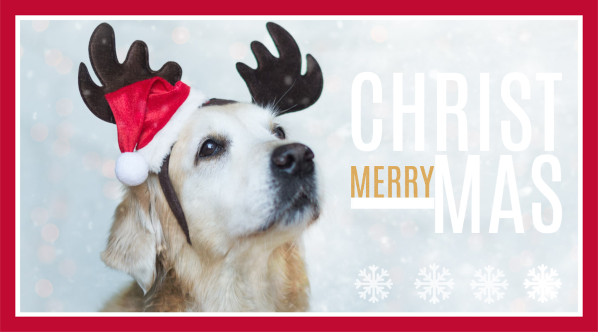 WeaverandCo's tweet photo. Best Wishes for Christmas to all our followers.Time to enjoy a few days with family &amp; friends now. #familytime #xmas https://t.co/TLd3UEME6m
