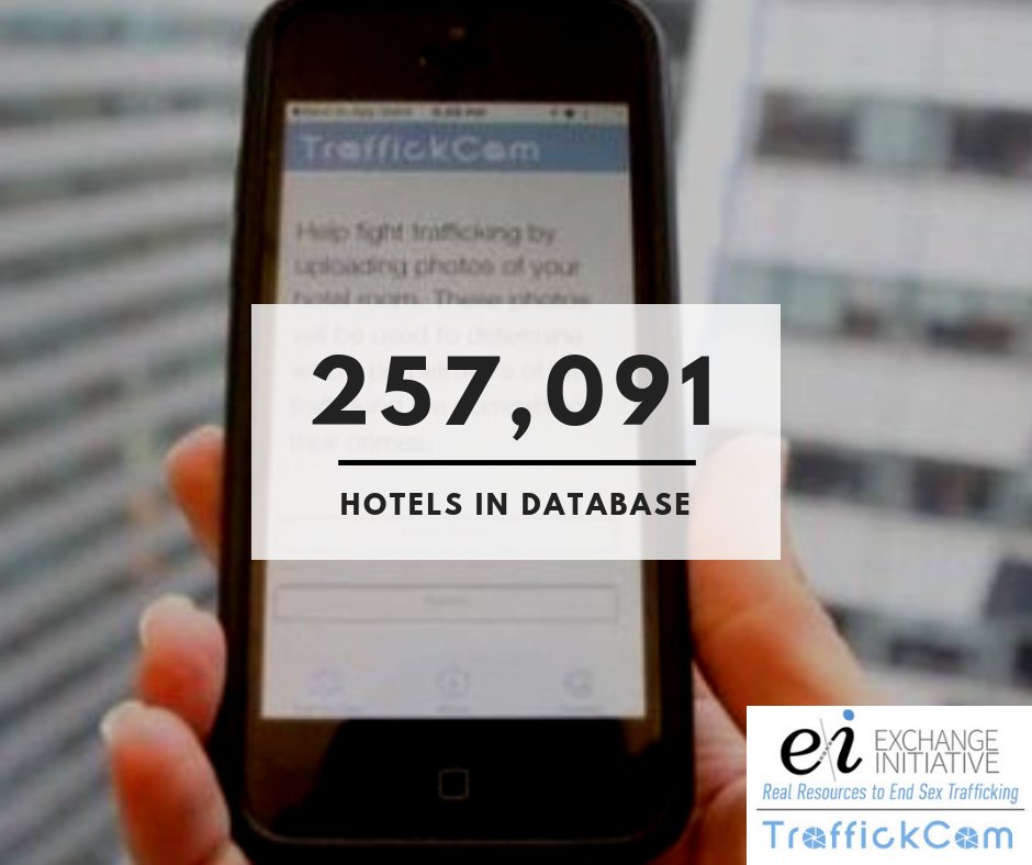 TraffickCam tweet media