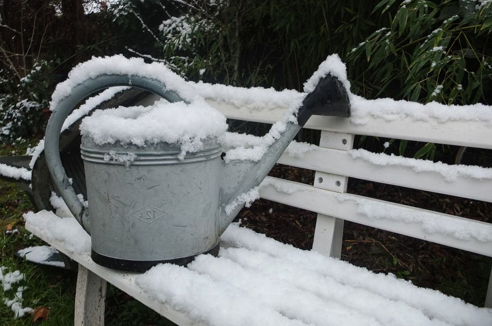 KimSellsOrange's tweet image. Winter is coming. Prepare your garden to take on the cold, and be successful next spring! 5 Winter Projects that Prep for Your Best Spring Garden Yet. buff.ly/2CnVIwY #SpringHacks #garden #gardening