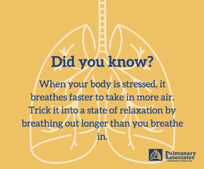 Fun Fact: When your body is experiencing stress it will breathe faster in order to take in more air. The best way to combat this &amp; calm down both your mind &amp; body is by tricking your body into relaxing. We recommend doing so by breathing out longer than you breathe in. #Pulmonary