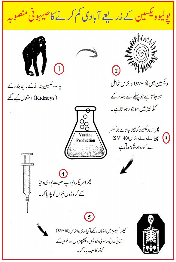 book the grateful dead reader 2000