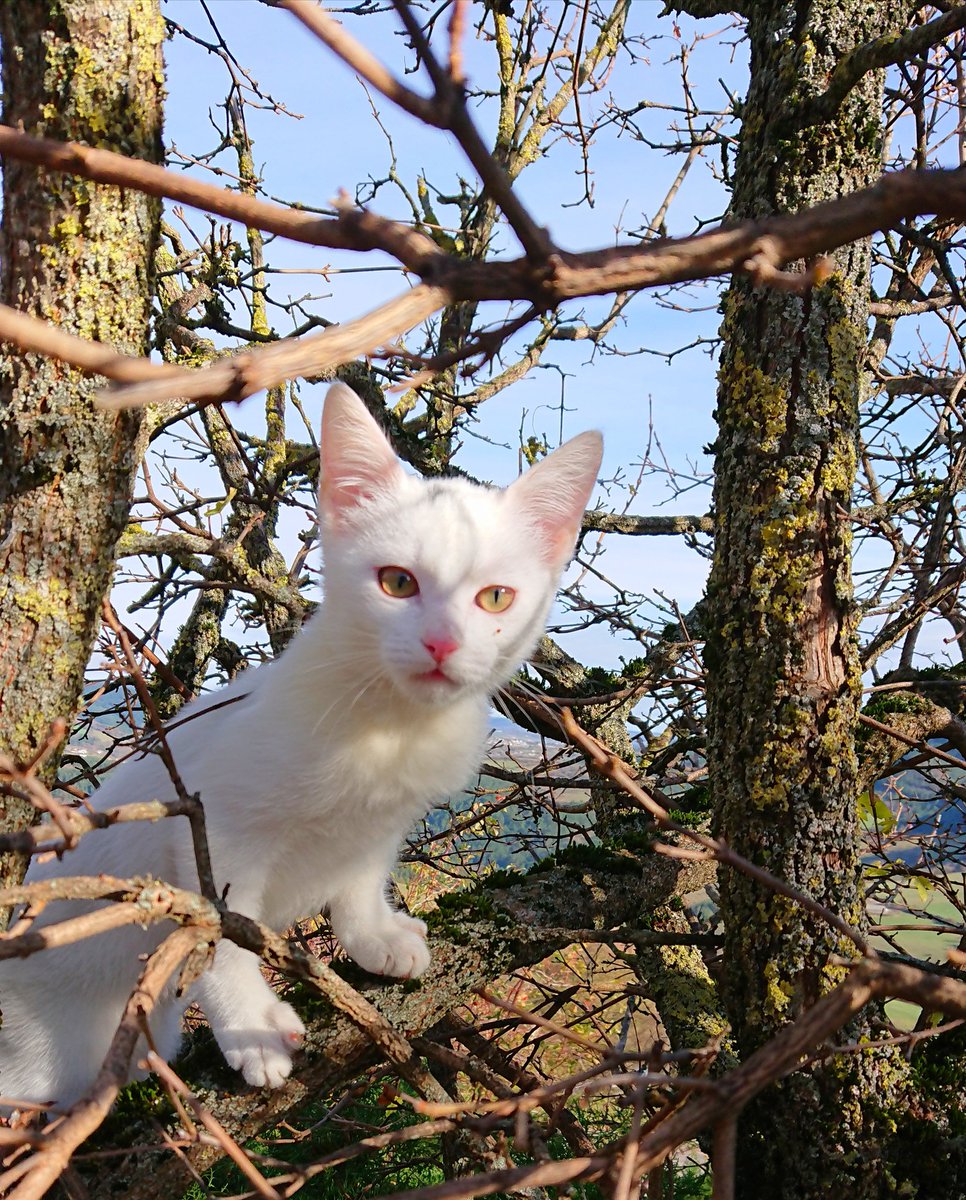 Chanel, 4 mois ❤️