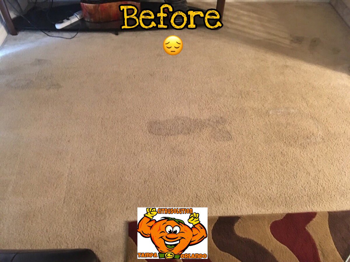 McCitrusolution's tweet image. 📸🍊🍊🍊🍊 #CitruSolution #Tampa