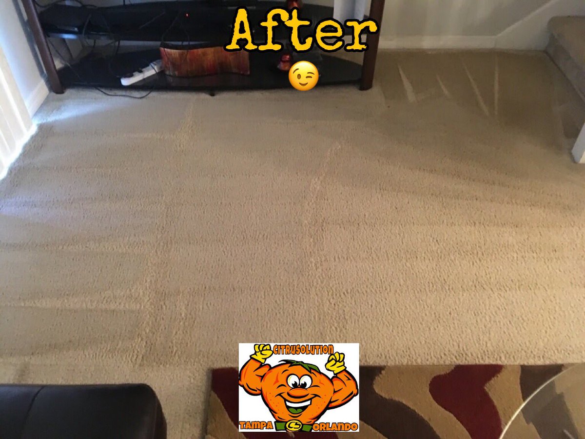 McCitrusolution's tweet image. 📸🍊🍊🍊🍊 #CitruSolution #Tampa