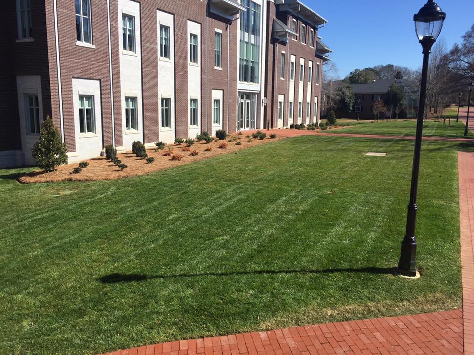 #ThrowbackThursday to our NG Turf being installed in front of the science building at Emory in Oxford. Photo: Jimmy Sprattler #ngturf #farmfreshsod