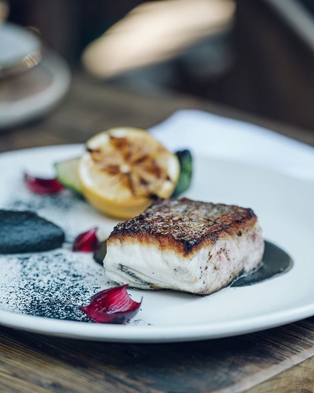 MurMurTulum's tweet photo. What's been your most memorable meal of 2018?
-
#MurMurTulum 🐒 #Tulum https://t.co/il5PnbgbMe https://t.co/koVt0JIkLb