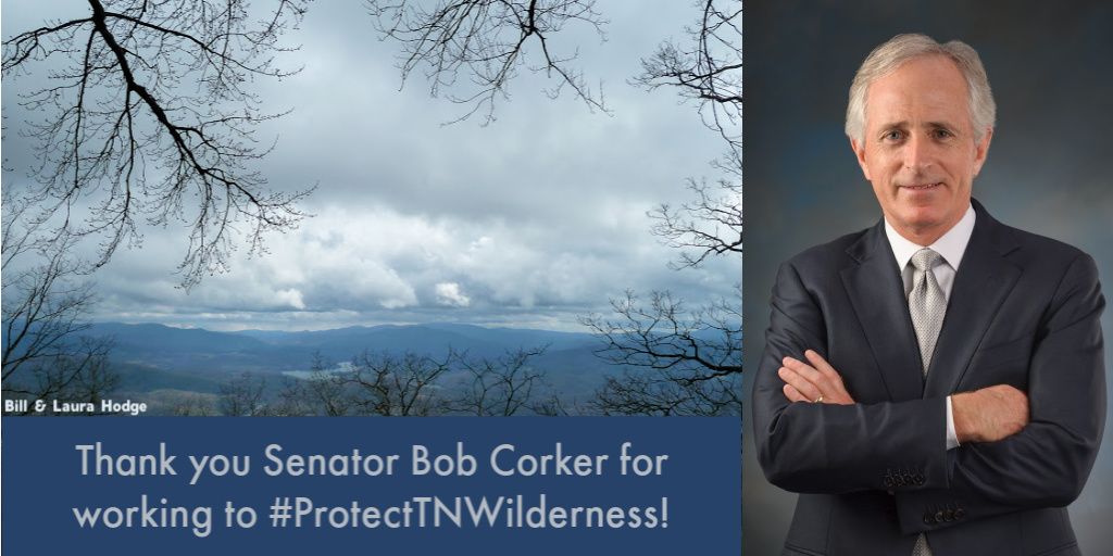 Tennessee_Wild's tweet photo. “Millions of people visit TN each year to experience our incredible God-given outdoor amenities, &amp; it’s important that the Cherokee National Forest be preserved for future generations of Americans to enjoy.”- @SenBobCorker https://t.co/i1nL1s7UO1 #ProtectTNWilderness #FarmBill https://t.co/bwMAr0dZrs