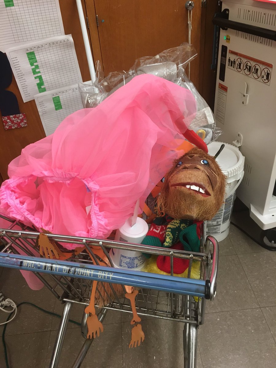 D32MsRichardson's tweet photo. Yes, this is a weird assortment of props that The Sweet Sisters need for the Christmas assembly tomorrow. #pcmsd32 #sweetsistersrock https://t.co/QZNlfn8oyi