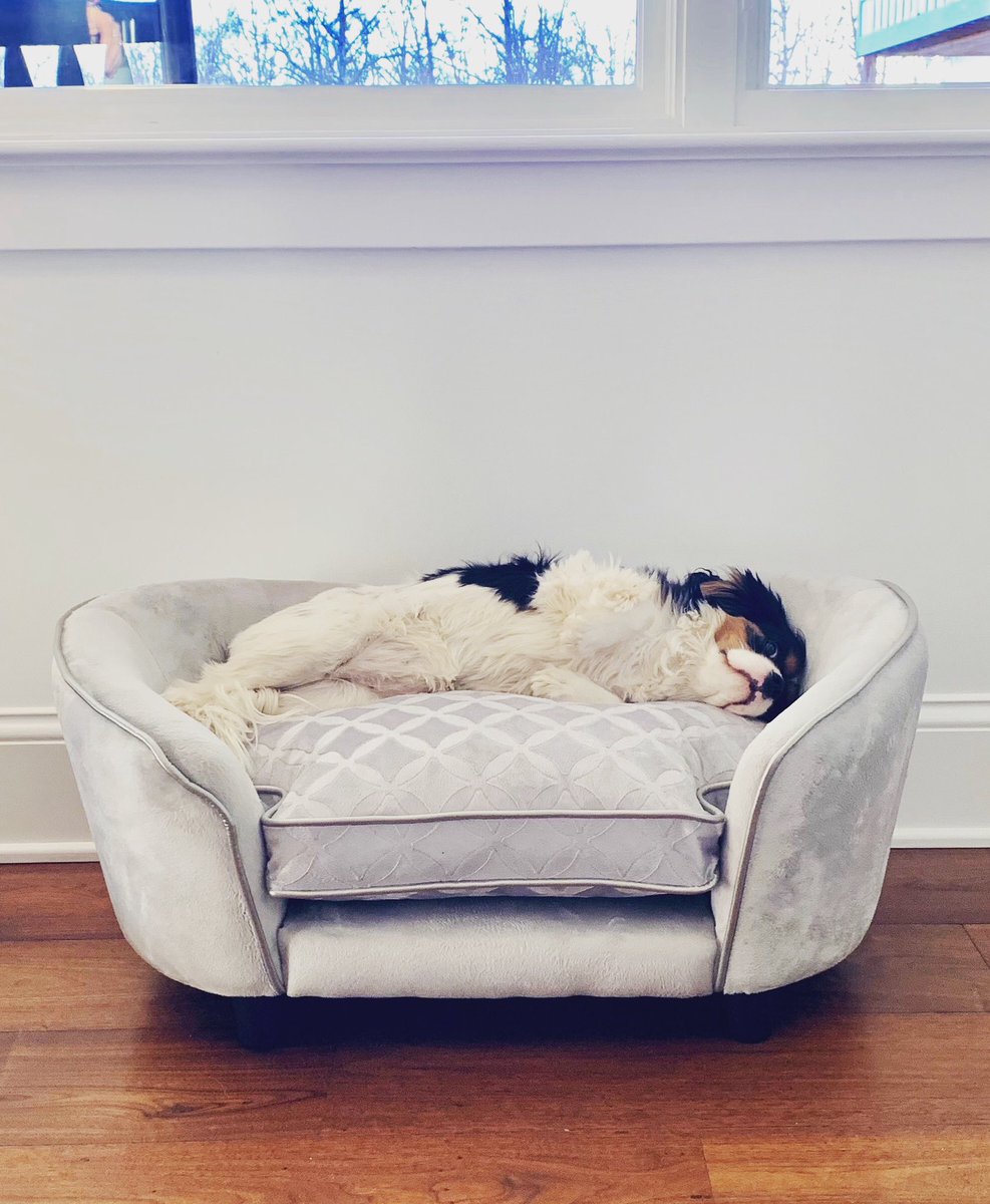 Wynonna's tweet image. Someone is enjoying her time at home... #FitForAPrincess