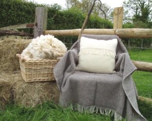Local natural wool from <a href="/Romneymarshwool/">Romney Marsh Wools</a>
Find out where goo.gl/u8pl6Y