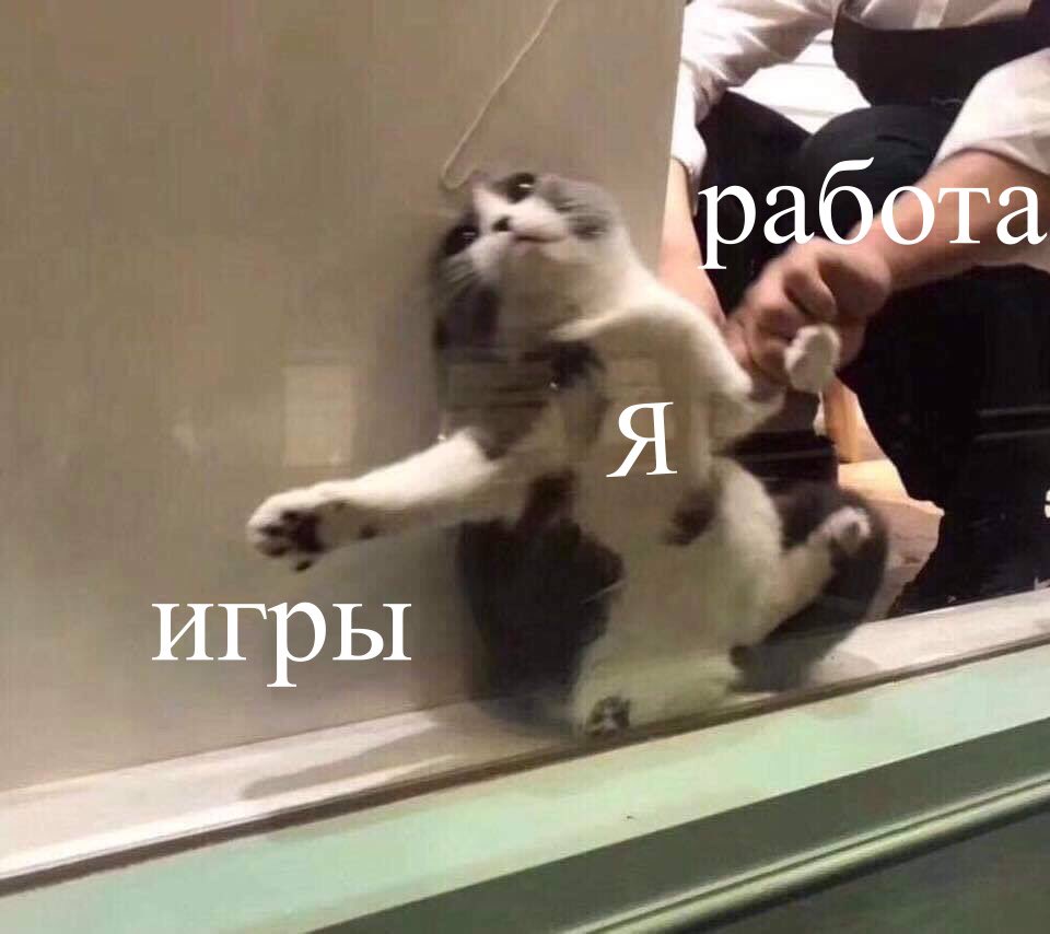 Du4iNGHW0AQvgrL.jpg