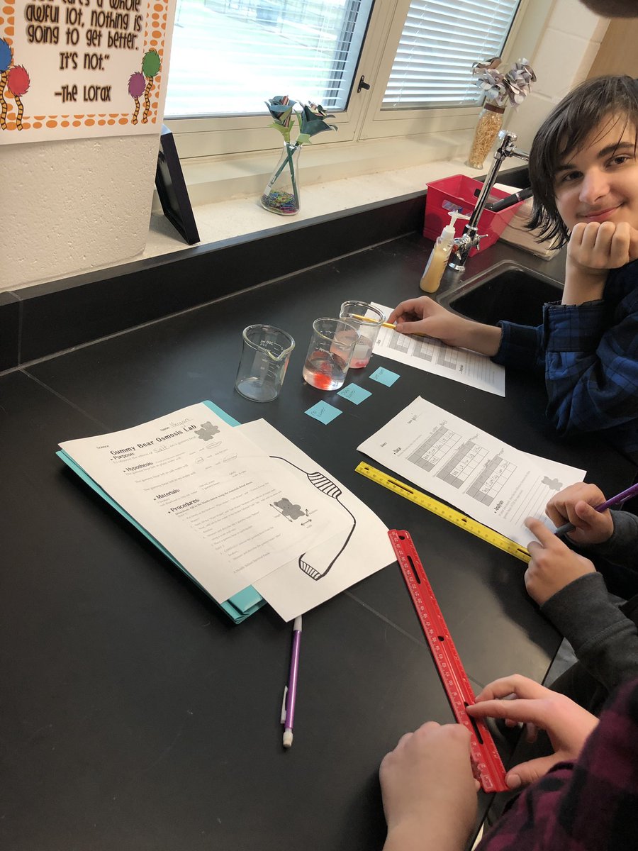 Ever wonder what happens to gummy bears in water or salt water? Elements of Science students tested it for you!