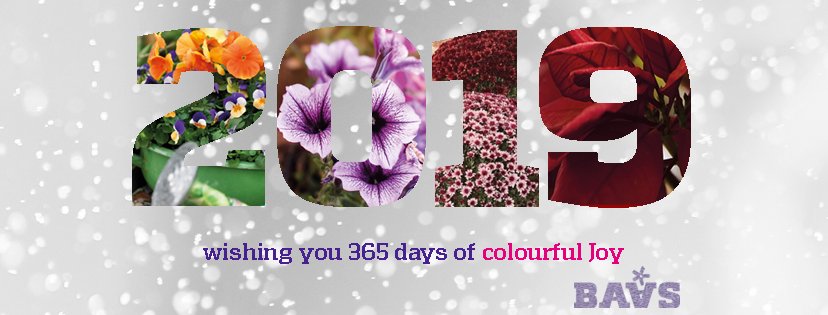 Fijne feestdagen en een blij &amp; kleurrijk 2019! #bloomingjoy #puurtuingeluk