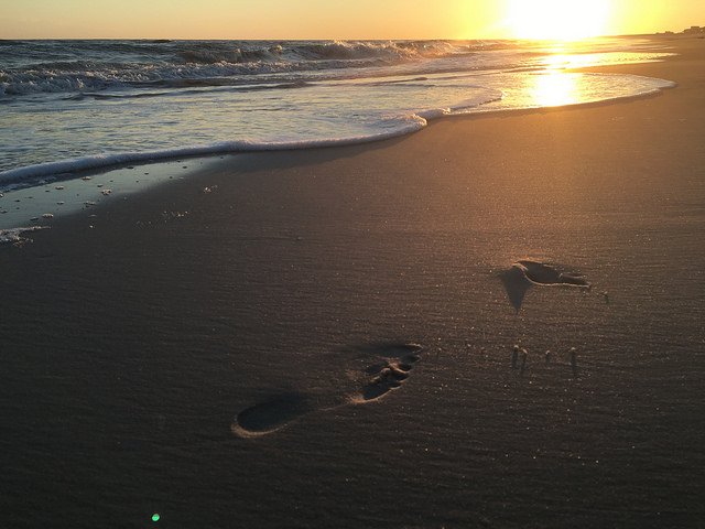 RT <a href="/VisitALBeaches/">Visit Alabama Beaches</a>: Evening beach walks are always on our list of things to do! #BeachLife #GulfShoresAL #OBA #VisitALBeaches