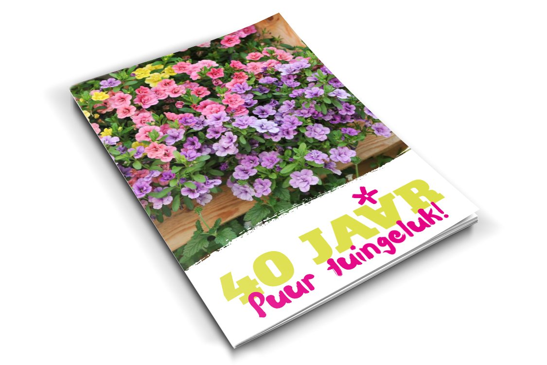Trots op dit magazine! Wij bestaan 40 jaar en vieren dit met ons eigen magazine. Op naar nog 40 jaar puur tuingeluk <a href="/deschplantpak/">Desch Plantpak</a>, <a href="/DeGooijerint/">DGI flowers</a>, <a href="/Green4Retail/">Chain Store Age</a> 
#bloomingjoy #growingtogether 
issuu.com/greatmagazines…