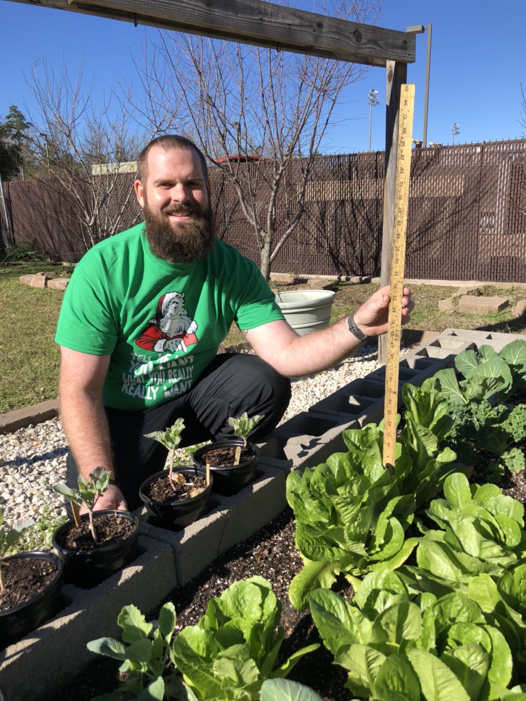 LBeamEngTeacher's tweet photo. Stopped by @BrabhamBobkats to admire all the hard work Coach Beam and Garden Club have done! #gardenclub #veggies #fresh #greatjobkiddos https://t.co/HzC4QDQbuB