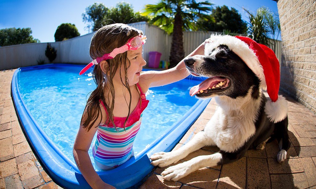 Merry Christmas ... Woof :)