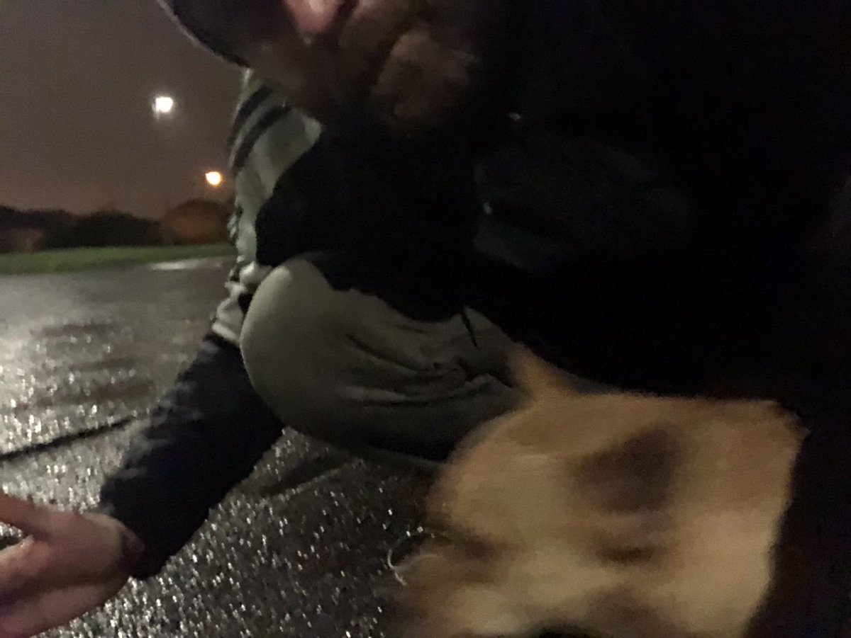 AdamJSKing2's tweet image. 