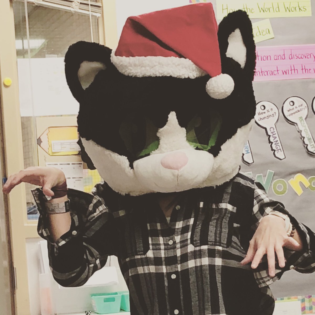 ImagineDinges's tweet photo. Guess who is ready for the faculty sing-off tomorrow at @BrightAcadFISD #WeAreMerryatBright #ourFISDstory #bringitbright #meowychristmas https://t.co/4lG2RdwBgl