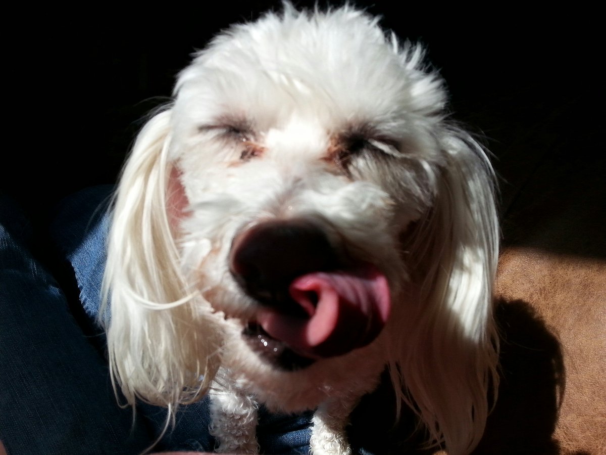 fallybird (@fallybird) on Twitter photo 