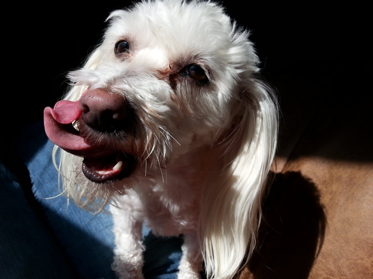 fallybird (@fallybird) on Twitter photo 