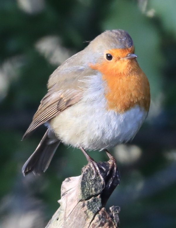 Alan Johnson tweet media