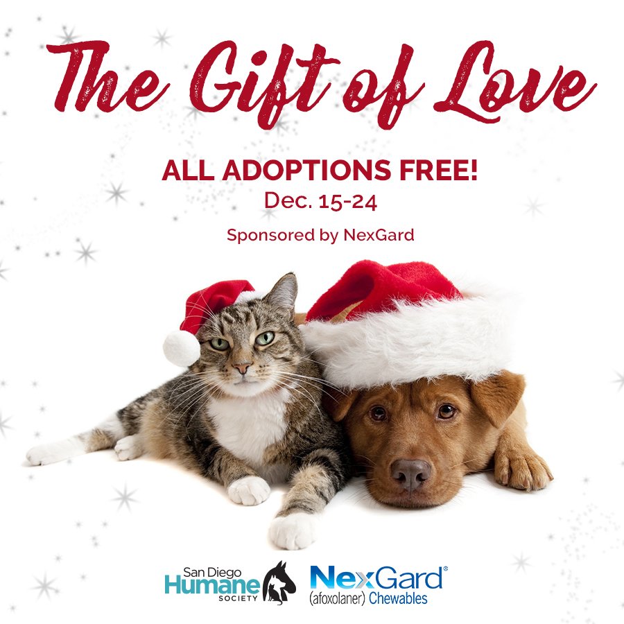 sdhumane's tweet photo. Don't forget! All adoptions are free at San Diego Humane Society through Dec. 24. Give them what they really want this holiday season - a home. https://t.co/aPuwJ7GcZ3
