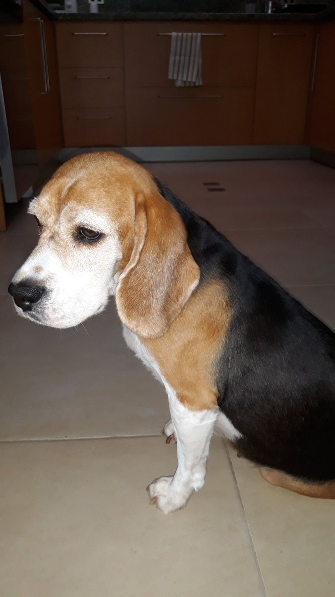 Saluci Castellon tweet media