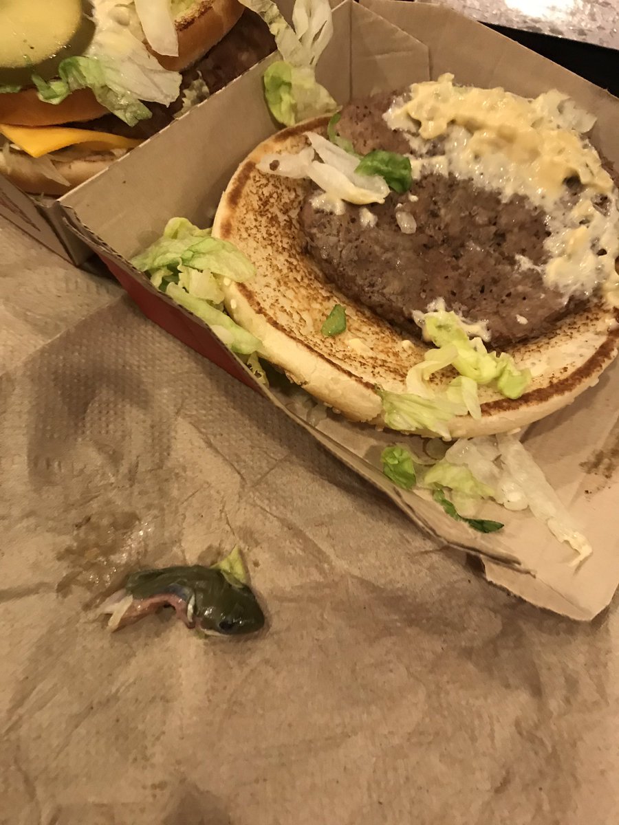 deelabovitz's tweet image. I was about to eat my sandwich from McDonalds &amp;amp; I saw something hanging out of the side. My dad pulled it out of the sandwich &amp;amp; said it looked like a pickle... it was not a pickle. I did not eat the sandwich, thank god, but please be aware of what you’re eating 🤢🤢